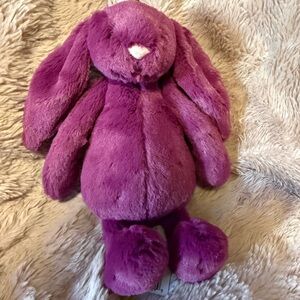 Little Bashful ALLIUM Bunny